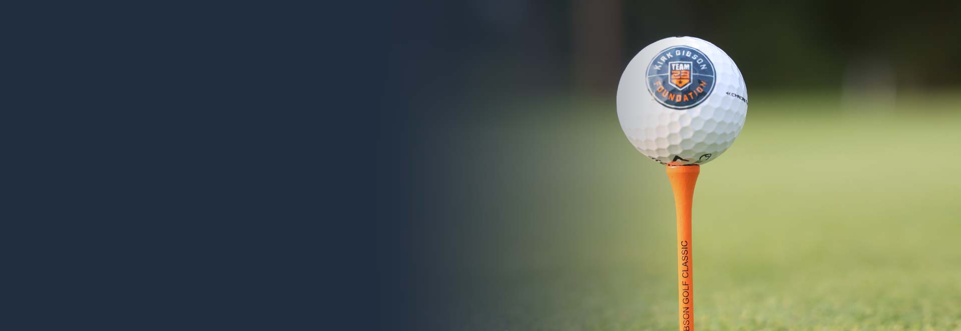 Tigers-Tickers-Banner-(1)